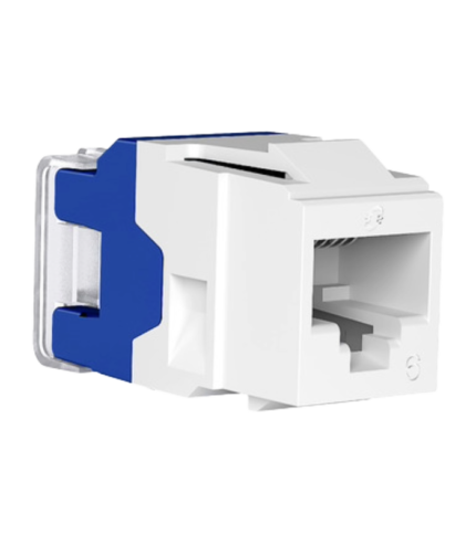 Actassi - modular jack - category 6 - UTP - white - non shuttered